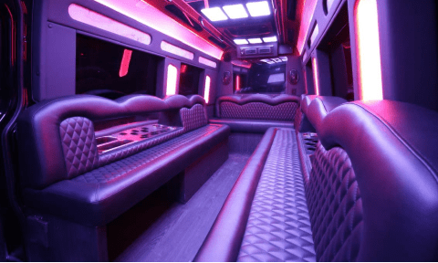 Coconut Creek 14 Passenger Sprinter Bus Interior