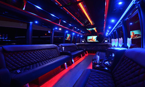 Coconut Creek 30 Passenger Party Bus Black Interior